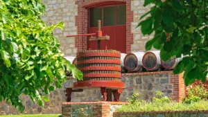 Uncork the Barossa Valley